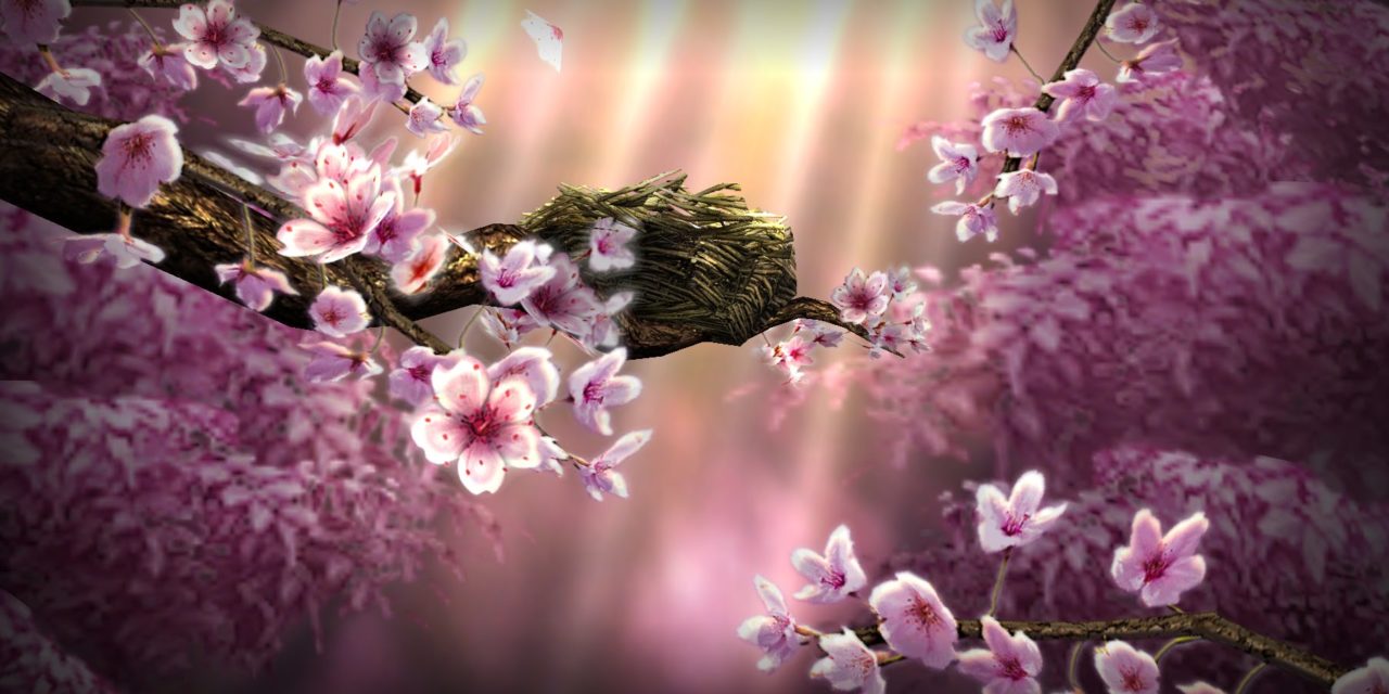 禅宗的幽默 禅修网 禅宗的幽默 禅修网